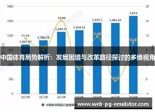 中国体育局势解析：发展困境与改革路径探讨的多维视角